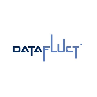 datafluct-out_1-(1)